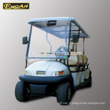 transmission électrique de chariot de golf / voiture électrique de 4 roues / buggy de Chine